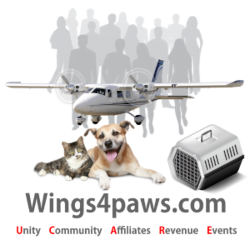 About Wings4Paws