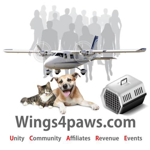 Wings4paws
